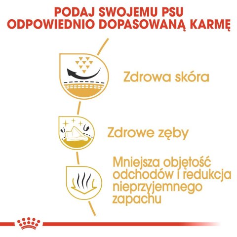 ROYAL CANIN BHN Shih Tzu Adult - sucha karma dla psa dorosłego - 1,5 kg Royal Canin ROYAL CANIN BHN Shih Tzu Adult - sucha karma dla psa dorosłego - 1,5 kg Royal Canin