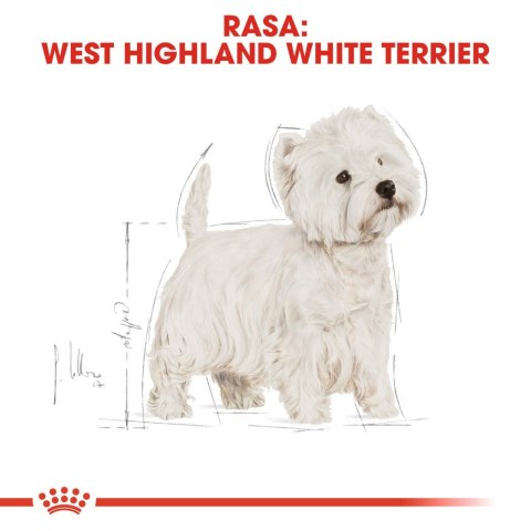 ROYAL CANIN BHN West Highland White Terrier Adult - sucha karma dla psa dorosłego - 3kg Royal Canin ROYAL CANIN BHN West Highland White Terrier Adult - sucha karma dla psa dorosłego - 3kg Royal Canin