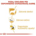 ROYAL CANIN BHN West Highland White Terrier Adult - sucha karma dla psa dorosłego - 3kg Royal Canin