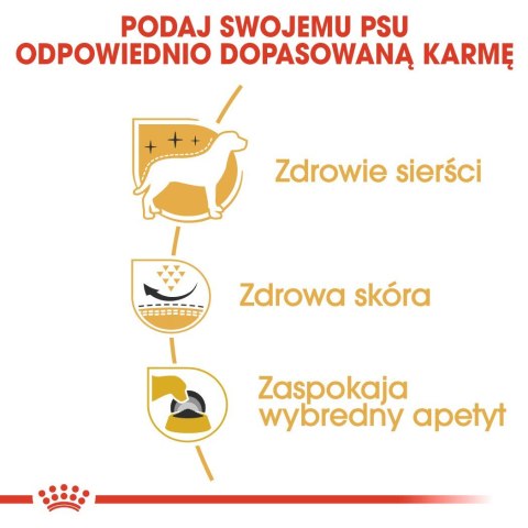 ROYAL CANIN BHN West Highland White Terrier Adult - sucha karma dla psa dorosłego - 3kg Royal Canin ROYAL CANIN BHN West Highland White Terrier Adult - sucha karma dla psa dorosłego - 3kg Royal Canin