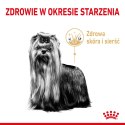 ROYAL CANIN BHN Yorkshire Ageing 8+ - sucha karma dla psa starszego - 1,5kg Royal Canin