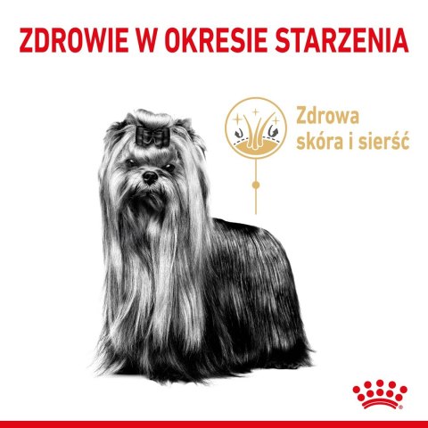 ROYAL CANIN BHN Yorkshire Ageing 8+ - sucha karma dla psa starszego - 1,5kg Royal Canin ROYAL CANIN BHN Yorkshire Ageing 8+ - sucha karma dla psa starszego - 1,5kg Royal Canin