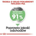 ROYAL CANIN CCN MEDIUM DIGESTIVE CARE - sucha karma dla psa dorosłego - 3kg Royal Canin