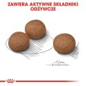 ROYAL CANIN CCN MEDIUM DIGESTIVE CARE - sucha karma dla psa dorosłego - 3kg Royal Canin