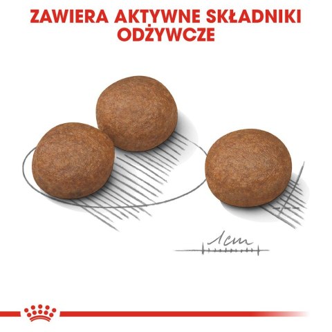 ROYAL CANIN CCN MEDIUM DIGESTIVE CARE - sucha karma dla psa dorosłego - 3kg Royal Canin ROYAL CANIN CCN MEDIUM DIGESTIVE CARE - sucha karma dla psa dorosłego - 3kg Royal Canin