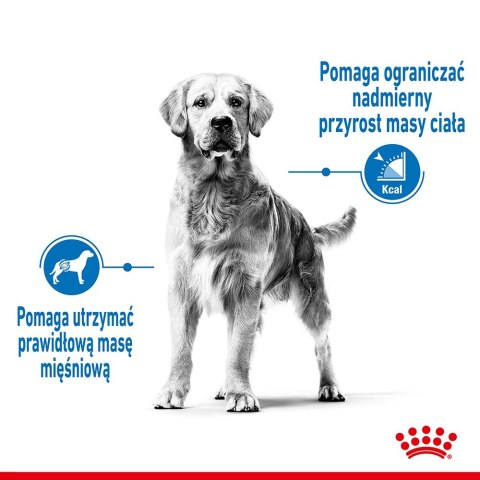 ROYAL CANIN CCN MEDIUM LIGHT WEIGHT CARE - sucha karma dla psa dorosłego - 3kg Royal Canin ROYAL CANIN CCN MEDIUM LIGHT WEIGHT CARE - sucha karma dla psa dorosłego - 3kg Royal Canin