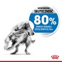 ROYAL CANIN CCN MEDIUM LIGHT WEIGHT CARE - sucha karma dla psa dorosłego - 3kg Royal Canin