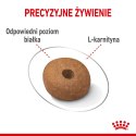 ROYAL CANIN CCN MEDIUM LIGHT WEIGHT CARE - sucha karma dla psa dorosłego - 3kg Royal Canin