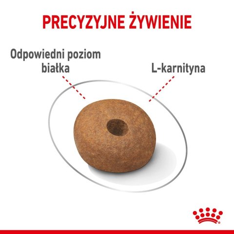ROYAL CANIN CCN MEDIUM LIGHT WEIGHT CARE - sucha karma dla psa dorosłego - 3kg Royal Canin ROYAL CANIN CCN MEDIUM LIGHT WEIGHT CARE - sucha karma dla psa dorosłego - 3kg Royal Canin