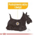 ROYAL CANIN Mini Dermacomfort - karma dla psów dorosłych ras małych - 3kg Royal Canin