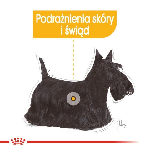 ROYAL CANIN Mini Dermacomfort - karma dla psów dorosłych ras małych - 3kg Royal Canin ROYAL CANIN Mini Dermacomfort - karma dla psów dorosłych ras małych - 3kg Royal Canin