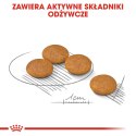 ROYAL CANIN Mini Dermacomfort - karma dla psów dorosłych ras małych - 3kg Royal Canin