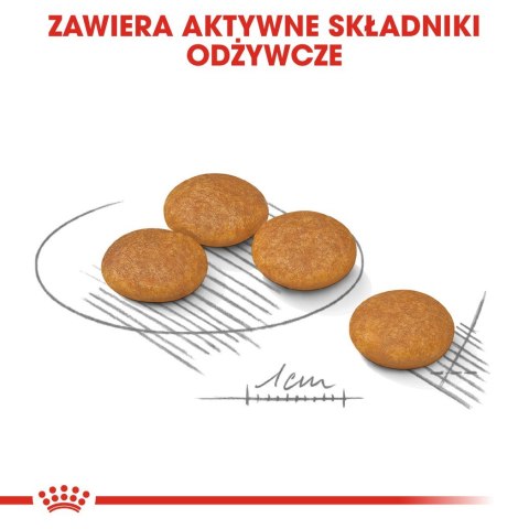 ROYAL CANIN Mini Dermacomfort - karma dla psów dorosłych ras małych - 3kg Royal Canin ROYAL CANIN Mini Dermacomfort - karma dla psów dorosłych ras małych - 3kg Royal Canin