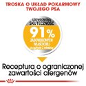 ROYAL CANIN Mini Dermacomfort - karma dla psów dorosłych ras małych - 3kg Royal Canin