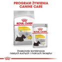 ROYAL CANIN Mini Dermacomfort - karma dla psów dorosłych ras małych - 3kg Royal Canin