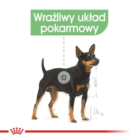 ROYAL CANIN Mini Digestive Care - karma sucha dla psów dorosłych ras małych - 1kg Royal Canin ROYAL CANIN Mini Digestive Care - karma sucha dla psów dorosłych ras małych - 1kg Royal Canin
