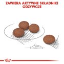 ROYAL CANIN Mini Digestive Care - karma sucha dla psów dorosłych ras małych - 1kg Royal Canin