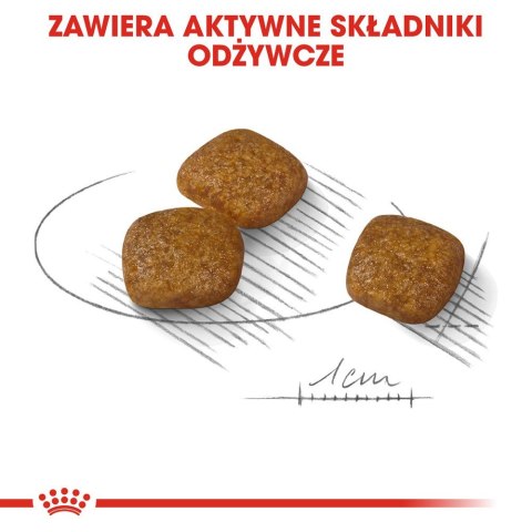 ROYAL CANIN Mini Urinary Care CCN - sucha karma dla psa - 1kg Royal Canin ROYAL CANIN Mini Urinary Care CCN - sucha karma dla psa - 1kg Royal Canin
