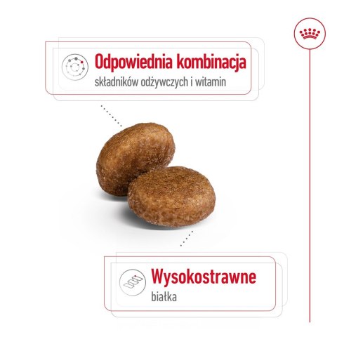 ROYAL CANIN SHN Maxi Adult 5+ - sucha karma dla psa dorosłego - 15 kg Royal Canin ROYAL CANIN SHN Maxi Adult 5+ - sucha karma dla psa dorosłego - 15 kg Royal Canin
