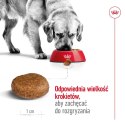 ROYAL CANIN SHN Maxi Adult 5+ - sucha karma dla psa dorosłego - 15 kg Royal Canin