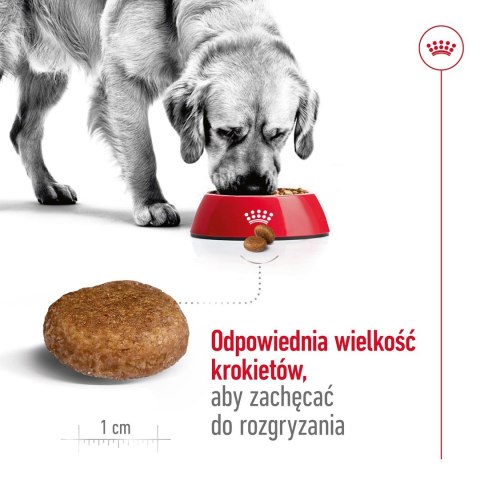 ROYAL CANIN SHN Maxi Adult 5+ - sucha karma dla psa dorosłego - 15 kg Royal Canin ROYAL CANIN SHN Maxi Adult 5+ - sucha karma dla psa dorosłego - 15 kg Royal Canin