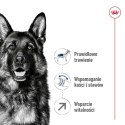 ROYAL CANIN SHN Maxi Adult 5+ - sucha karma dla psa dorosłego - 15 kg Royal Canin