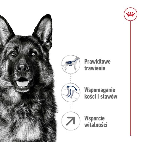 ROYAL CANIN SHN Maxi Adult 5+ - sucha karma dla psa dorosłego - 15 kg Royal Canin ROYAL CANIN SHN Maxi Adult 5+ - sucha karma dla psa dorosłego - 15 kg Royal Canin
