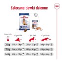 ROYAL CANIN SHN Maxi Adult 5+ - sucha karma dla psa dorosłego - 15 kg Royal Canin