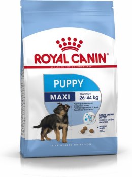 ROYAL CANIN SHN Maxi Puppy - sucha karma dla szczeniąt - 4kg Royal Canin