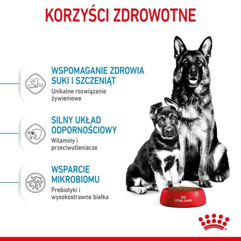 ROYAL CANIN SHN Maxi Starter Mother & Babydog - sucha karma dla psa - 4 kg Royal Canin ROYAL CANIN SHN Maxi Starter Mother & Babydog - sucha karma dla psa - 4 kg Royal Canin
