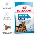 ROYAL CANIN SHN Maxi Starter Mother & Babydog - sucha karma dla psa - 4 kg Royal Canin
