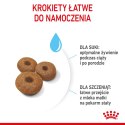 ROYAL CANIN SHN Maxi Starter Mother & Babydog - sucha karma dla psa - 4 kg Royal Canin