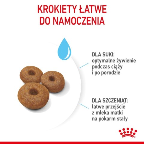 ROYAL CANIN SHN Maxi Starter Mother & Babydog - sucha karma dla psa - 4 kg Royal Canin ROYAL CANIN SHN Maxi Starter Mother & Babydog - sucha karma dla psa - 4 kg Royal Canin