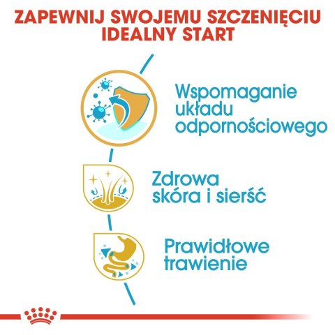 Royal Canin BHN Shih Tzu Puppy - sucha karma dla szczeniąt - 1,5kg Royal Canin Royal Canin BHN Shih Tzu Puppy - sucha karma dla szczeniąt - 1,5kg Royal Canin