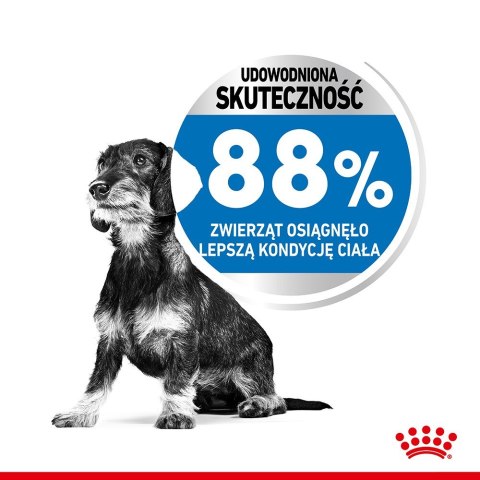 Royal Canin CCN MINI LIGHT WEIGHT CARE - sucha karma dla psa dorosłego - 3kg Royal Canin Royal Canin CCN MINI LIGHT WEIGHT CARE - sucha karma dla psa dorosłego - 3kg Royal Canin