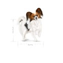 Royal Canin SHN Xsmall Adult 8+ 1,5kg Royal Canin