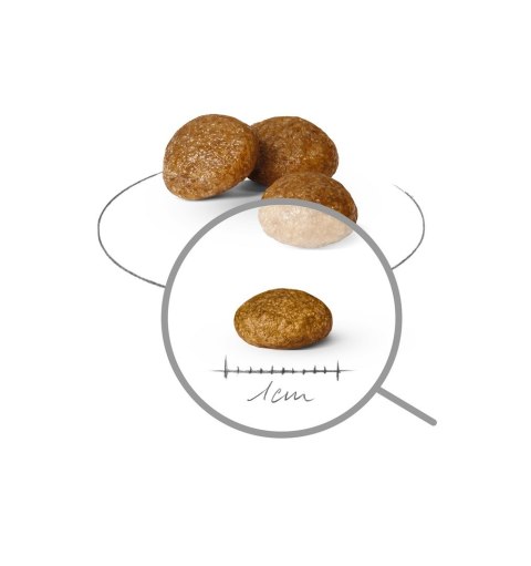 Royal Canin SHN Xsmall Adult 8+ 1,5kg Royal Canin Royal Canin SHN Xsmall Adult 8+ 1,5kg Royal Canin