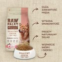 VetExpert Raw Paleo Healthy Grain Salmon&Barley Adult - Karma sucha dla psów - 2kg VetExpert